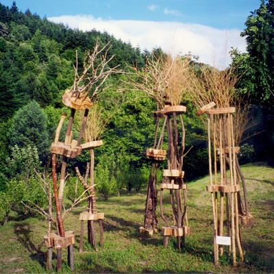 «Petits arrangements après la tempête» / 2004