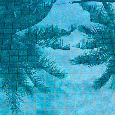 Photo Reflets arbres